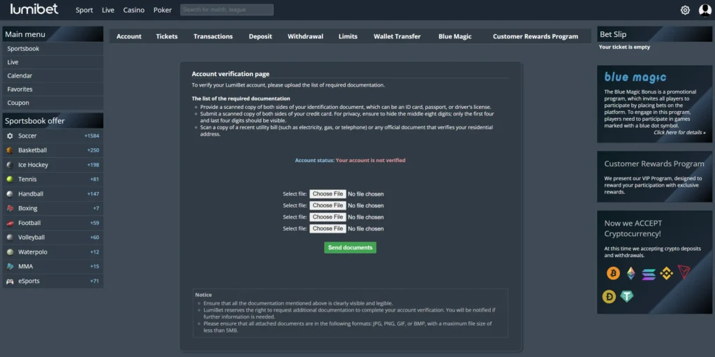 Lumibet verification process.